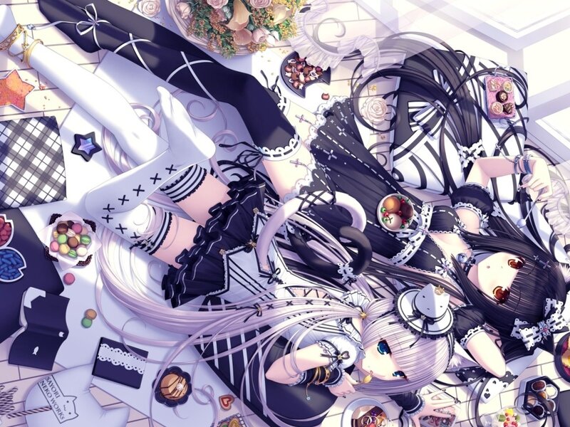 Two girls in maid outfits