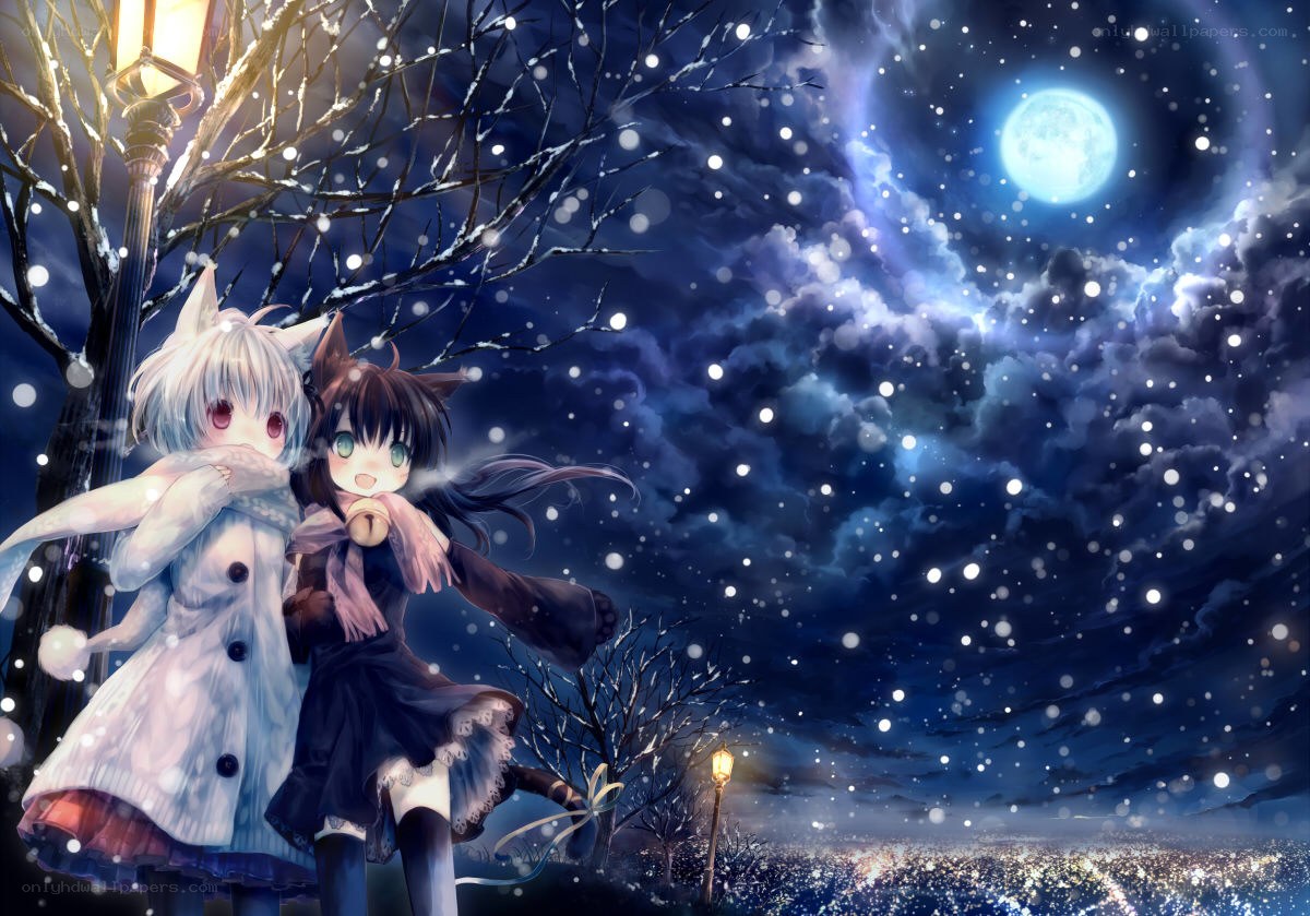 Two girls in winter night