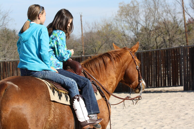 Two Girls on a Horse — Brown, Calm