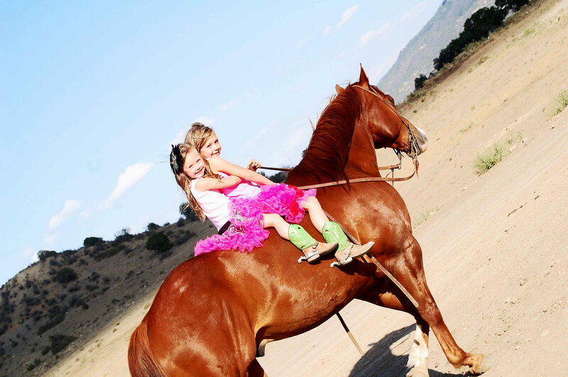 Two Girls on a Horse — Brown