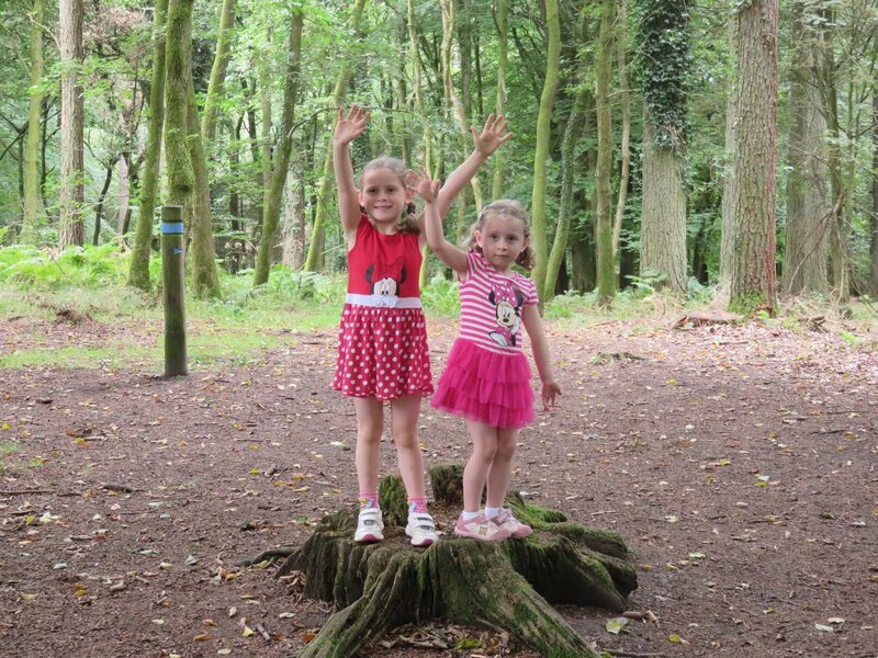 Two Girls on Tree Stump