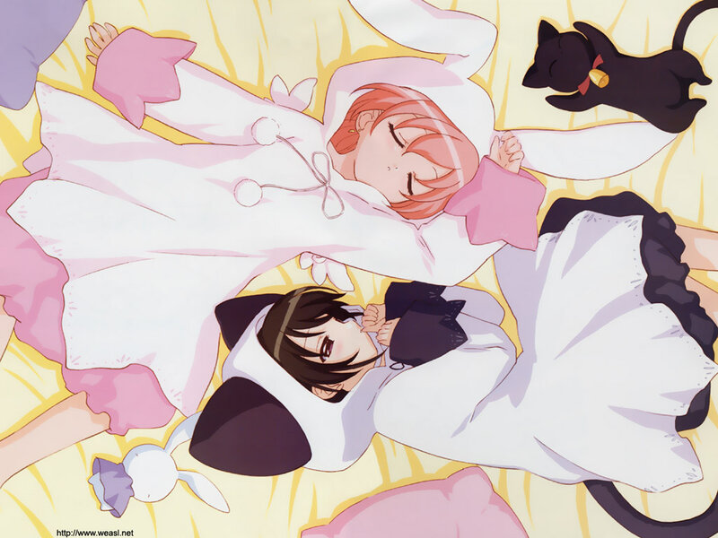 Two girls sleeping in bunny costumes