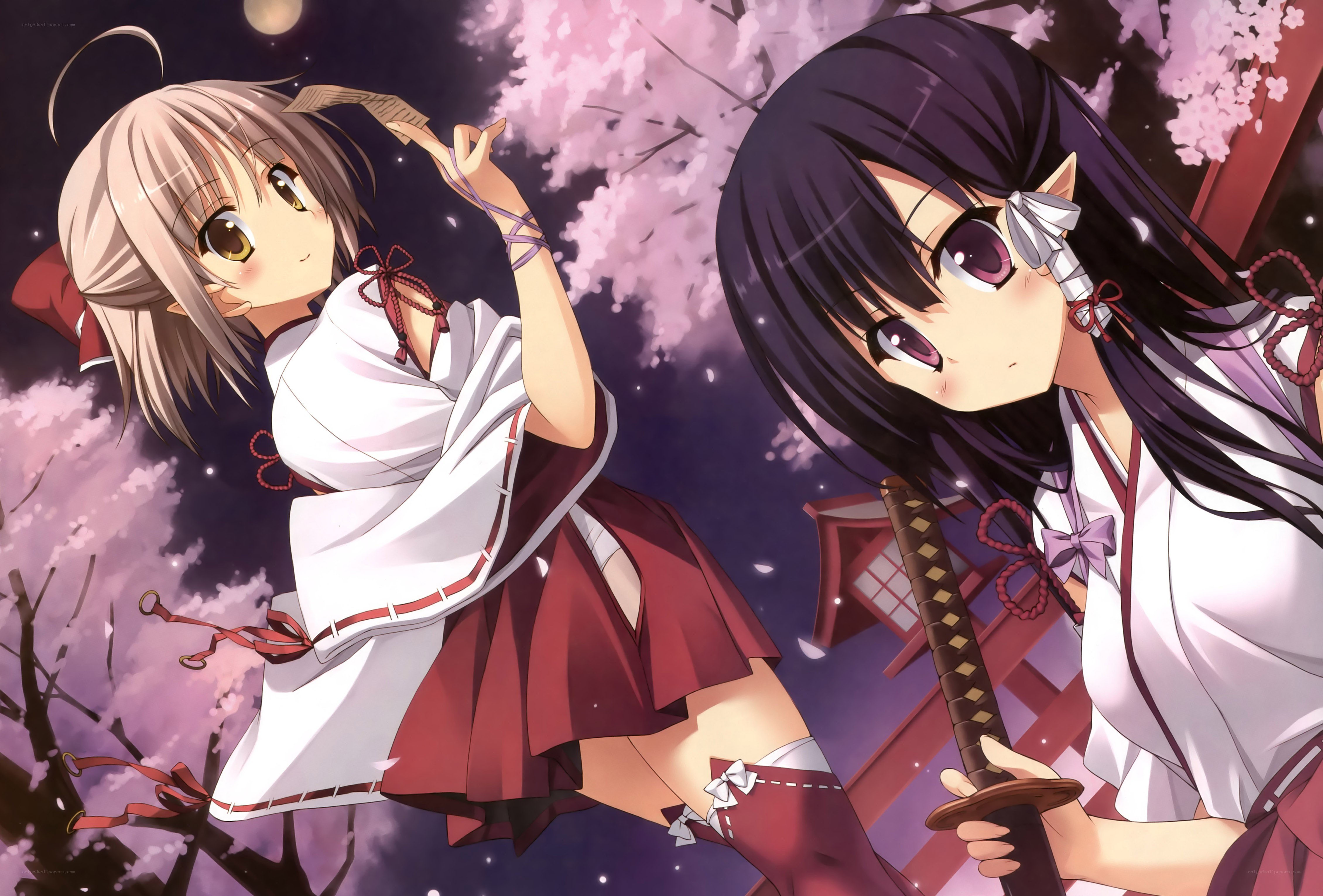 Two girls under cherry blossoms