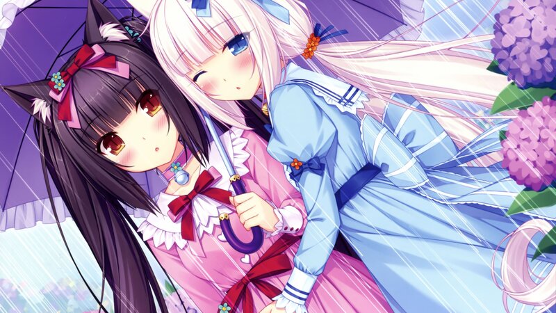Two Girls under Umbrella — Purple, Calm, Spring, Anime