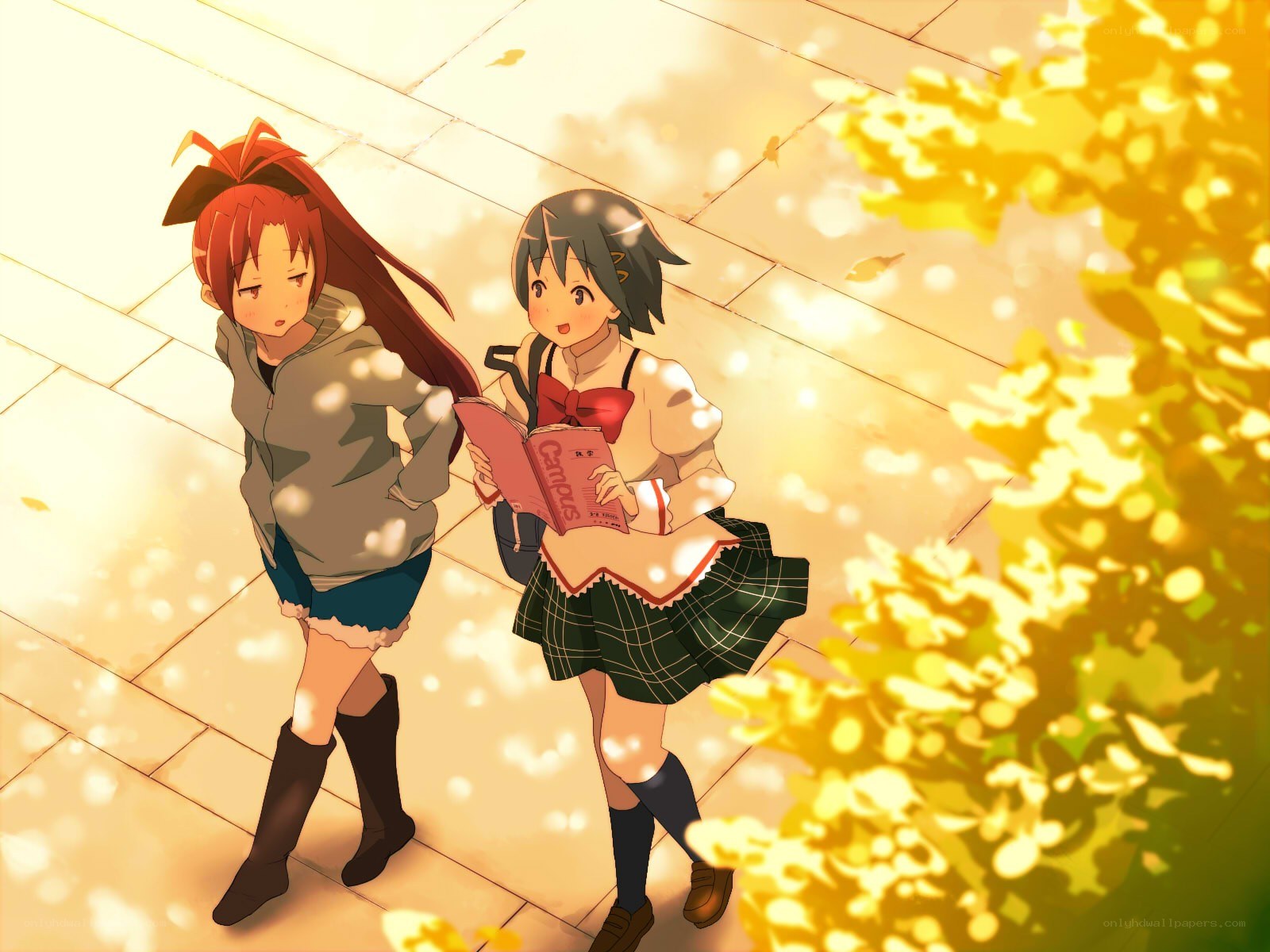 Two girls walking in autumn