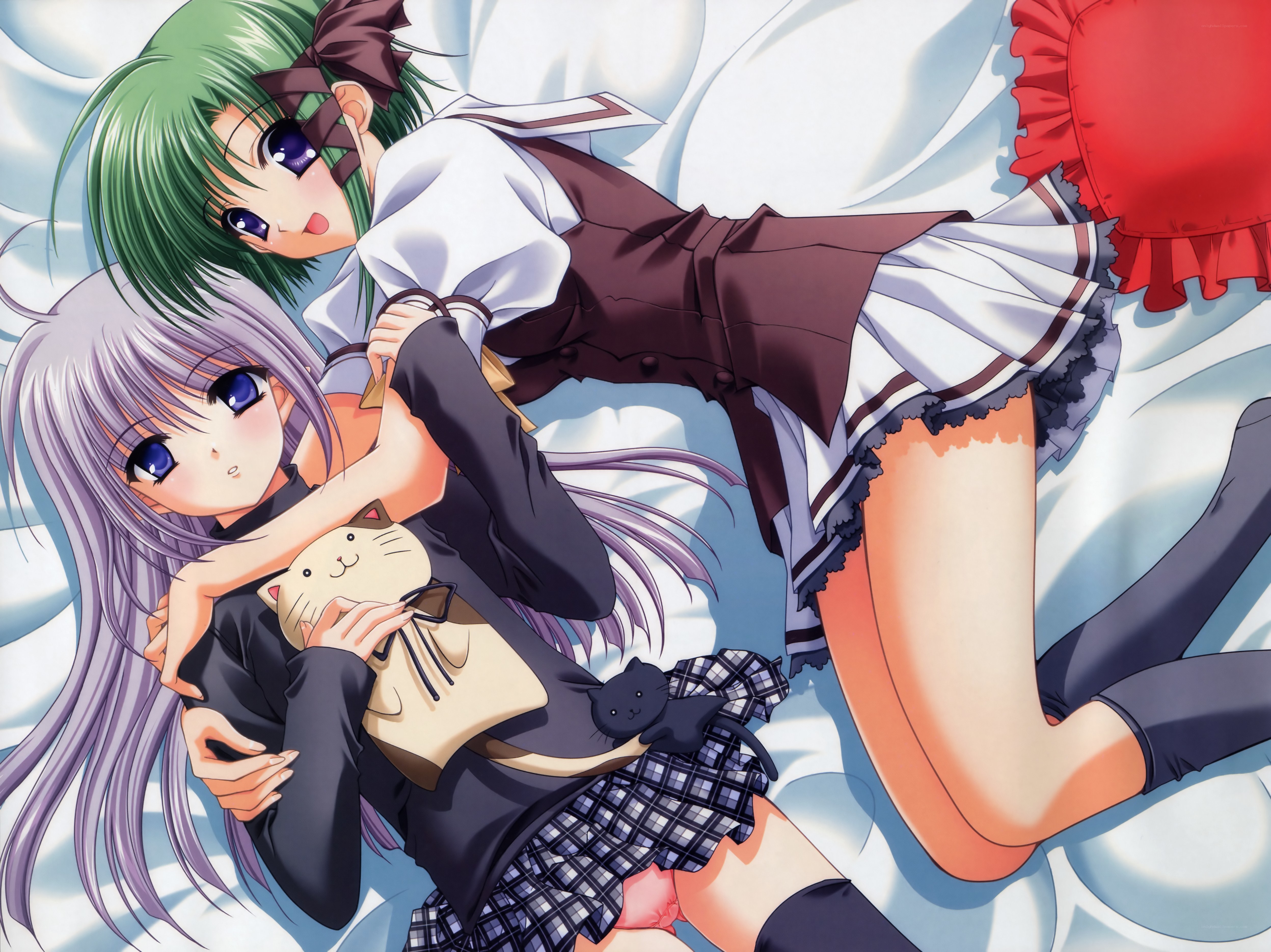 Two girls with a cat