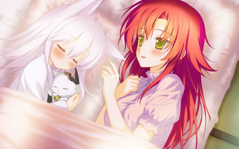 Two girls with a cat in bed