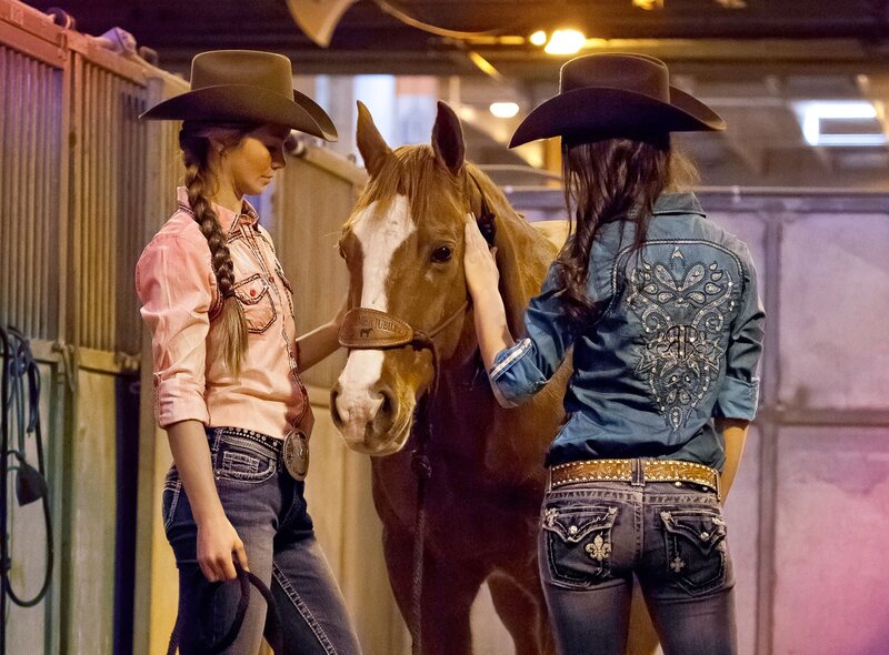 Two Girls with a Horse — Brown