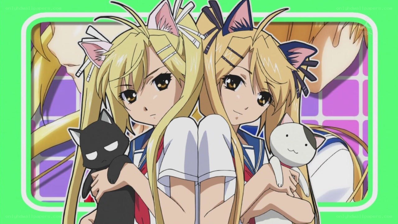 two girls with cat ears