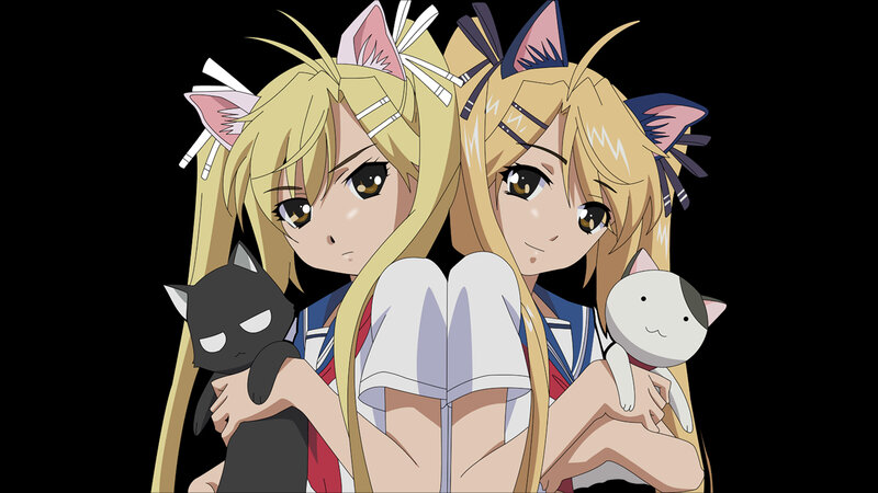 two girls with cat ears and plushies