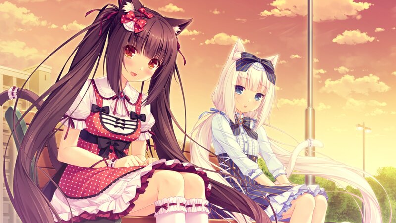 Two Girls with Cat Ears — Orange