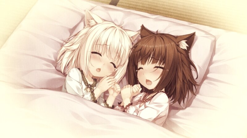Two Girls with Cat Ears — White, Peaceful