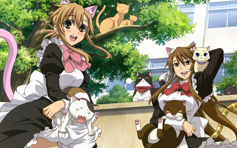 Two Girls with Cats — Green