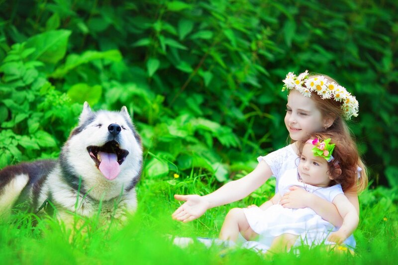 Two Girls with Husky Dog