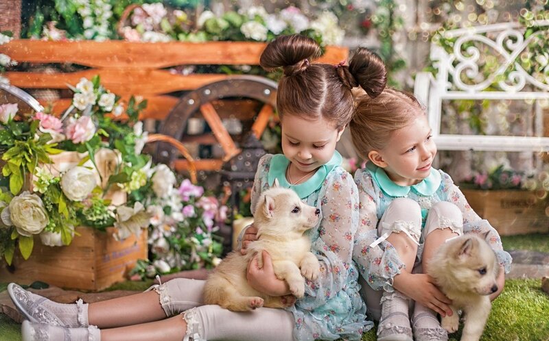 Two Girls with Puppies — Blue