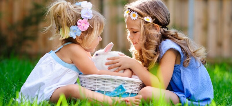 Two Girls with Rabbit — Green, Peaceful