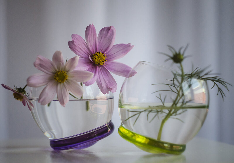 Two Glass Vases with Flowers