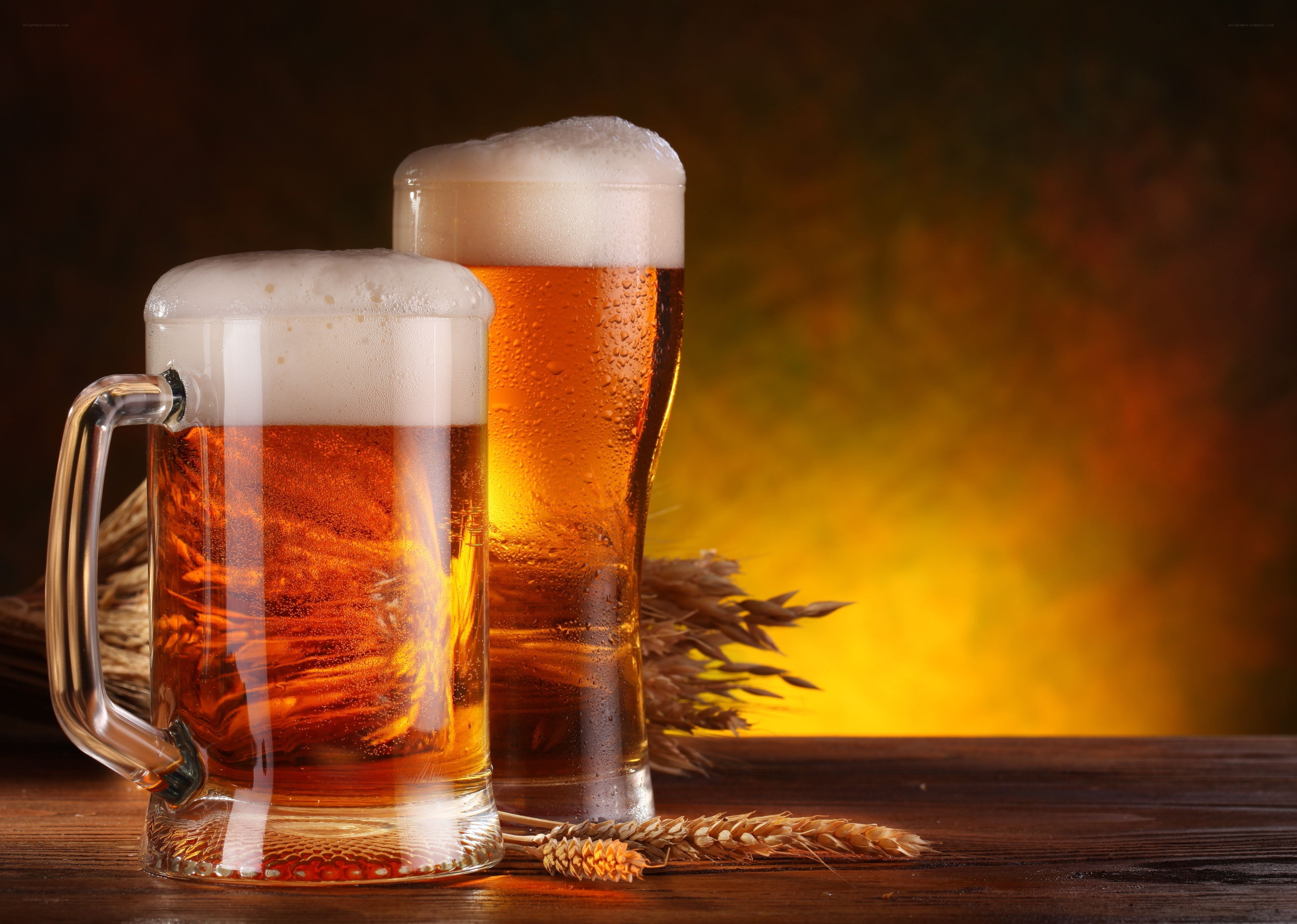 Two glasses of beer with wheat