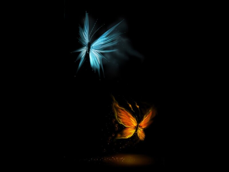 Two glowing butterflies