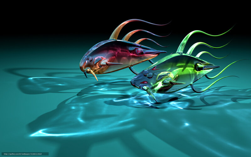 Two Glowing Fish — Teal, Dramatic