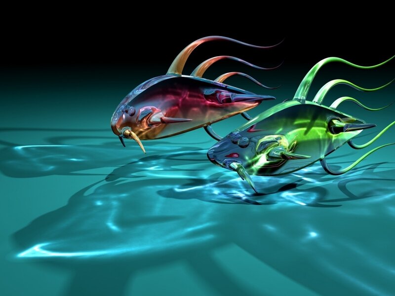 Two Glowing Fish — Teal