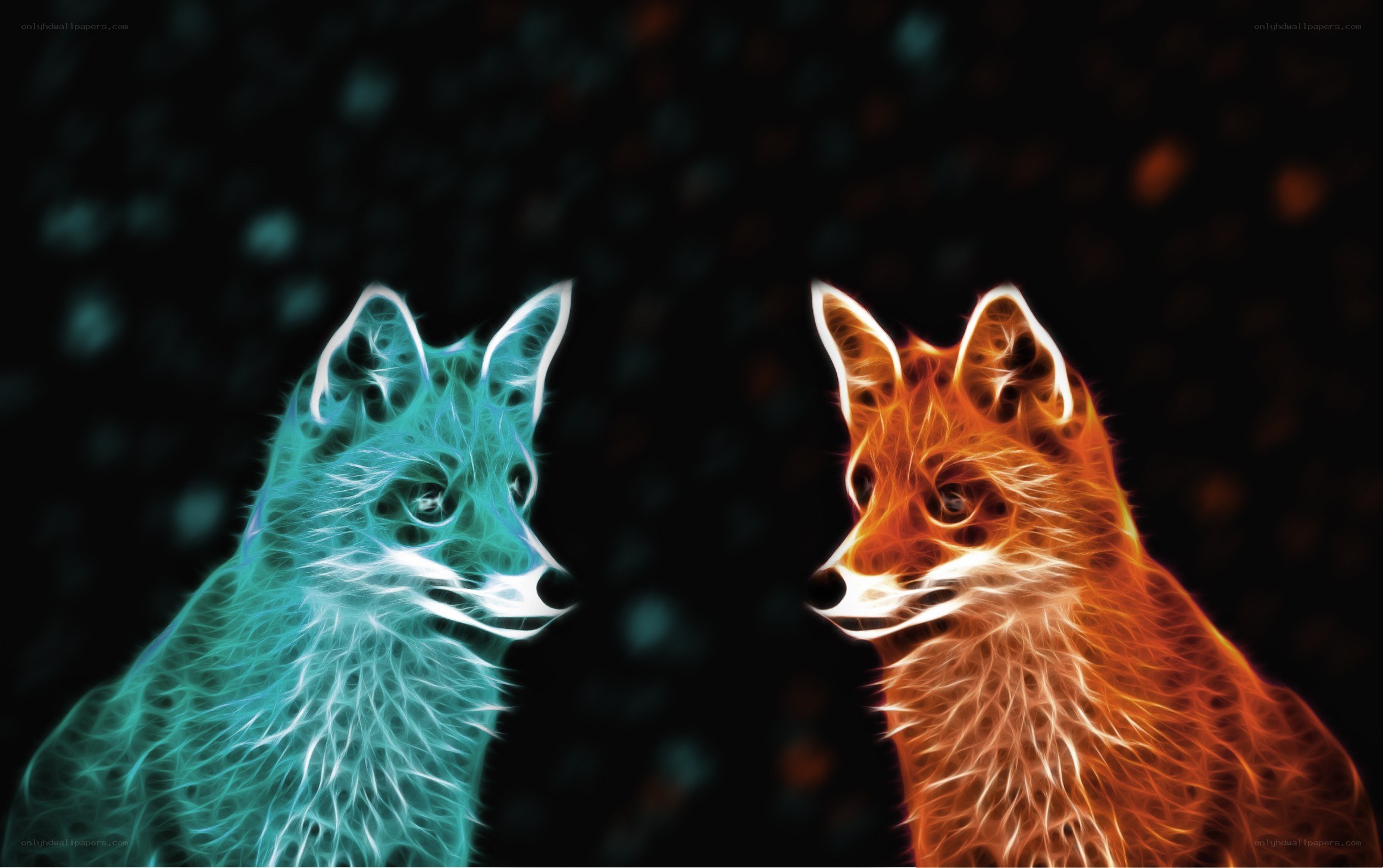 two glowing foxes facing each other