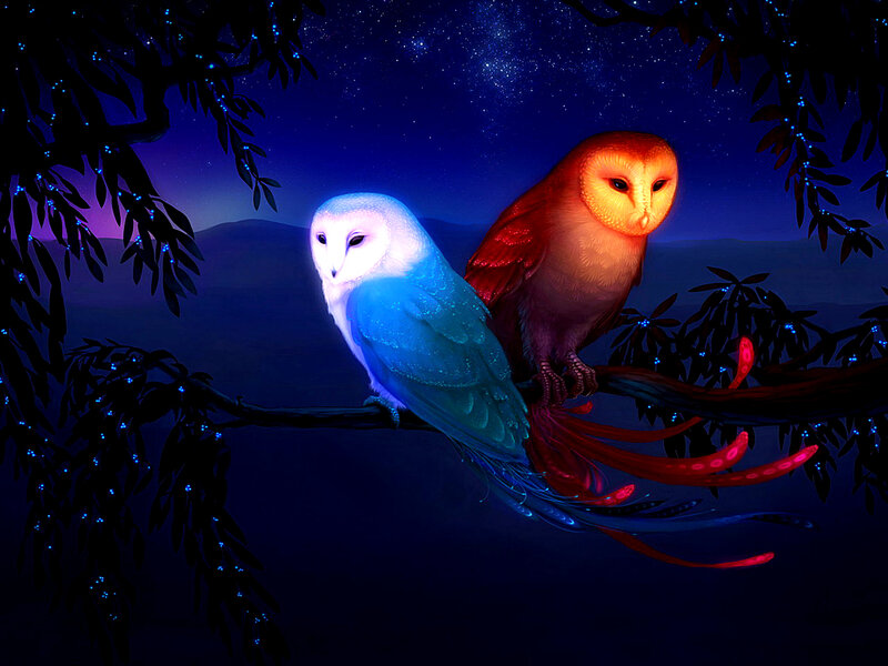 Two glowing owls on a branch