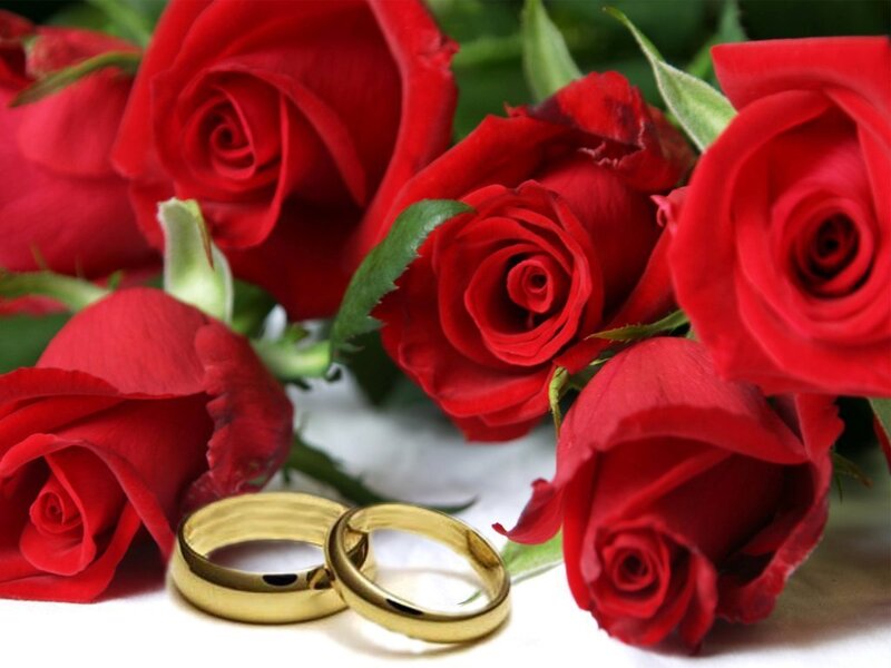 Two Gold Wedding Rings — Red