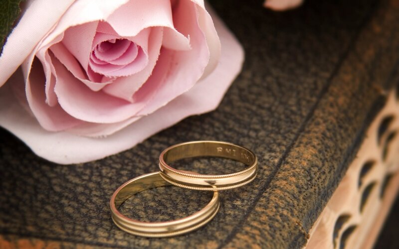 Two Gold Wedding Rings — Romantic, Photograph, Pink Rose