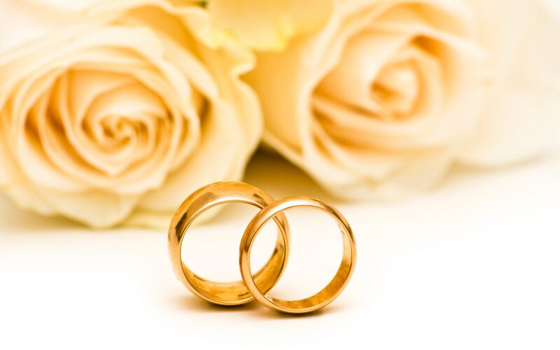 Two Gold Wedding Rings — Romantic, Photograph, Roses