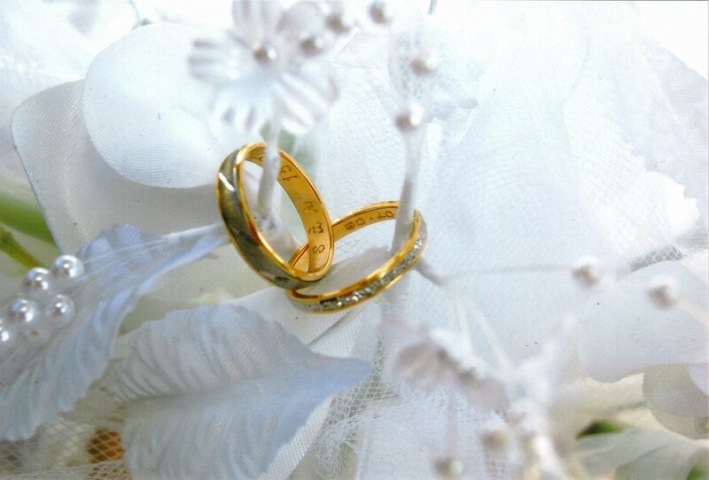 Two Gold Wedding Rings — White
