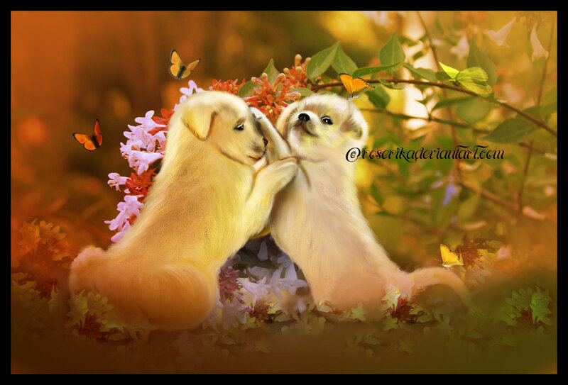Two Golden Puppies