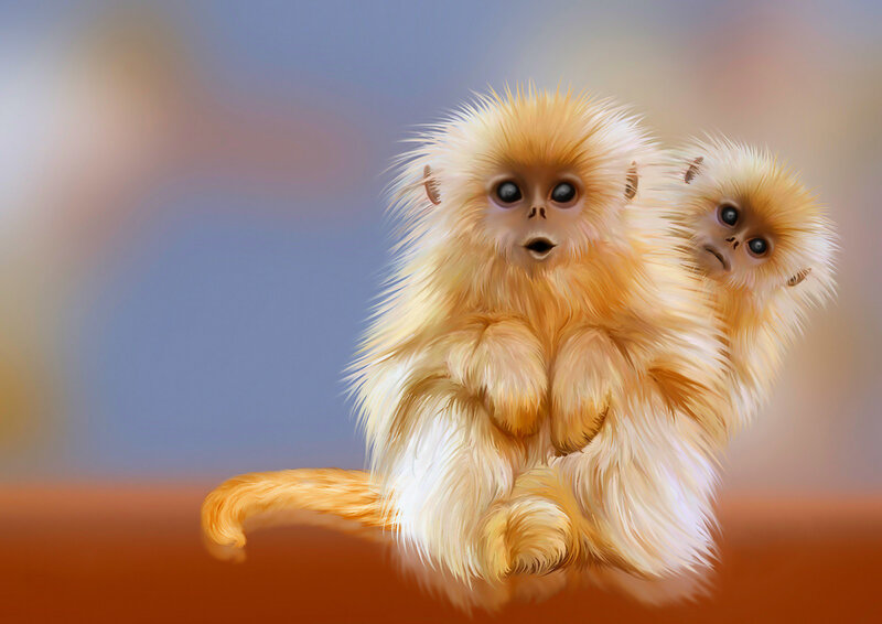 Two Golden Snub-nosed Monkeys