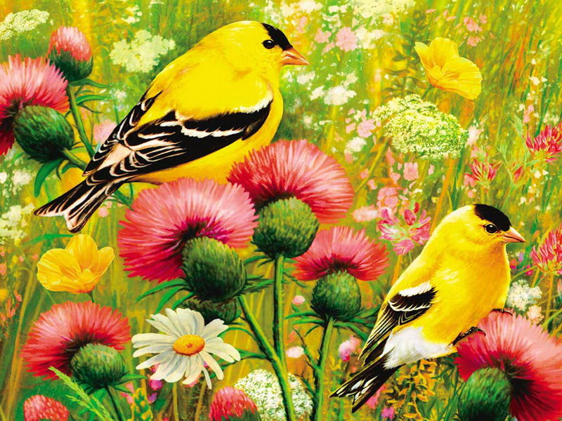 Two Goldfinches in Flowers