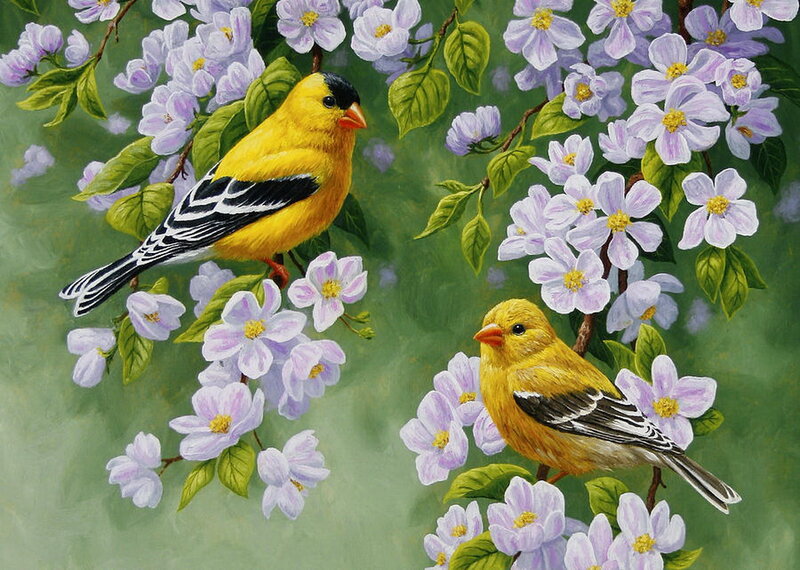 Two Goldfinches on Flowers