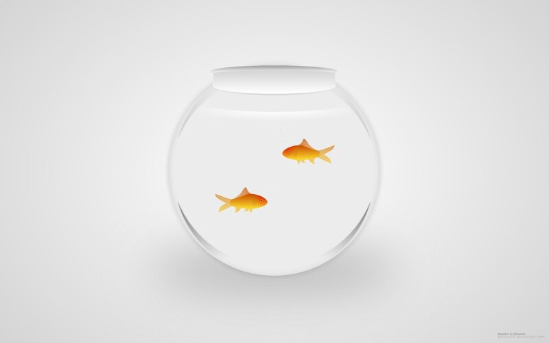 two goldfish in a bowl