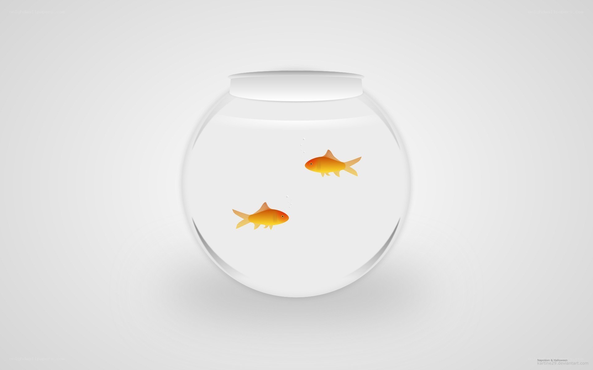 two goldfish in a bowl