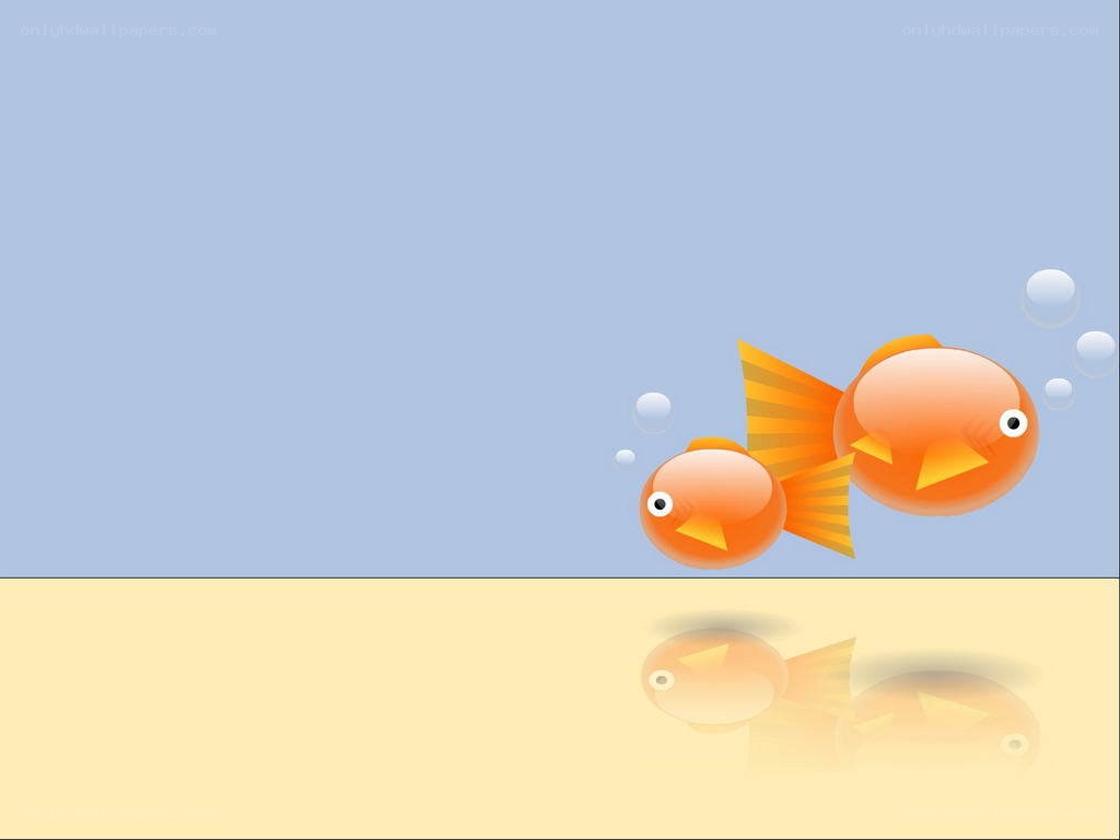two goldfish swimming