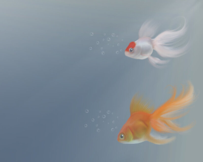 Two goldfish swimming