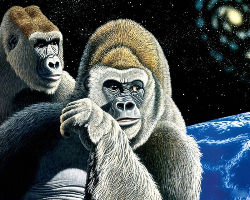 Two Gorillas in Space — Blue