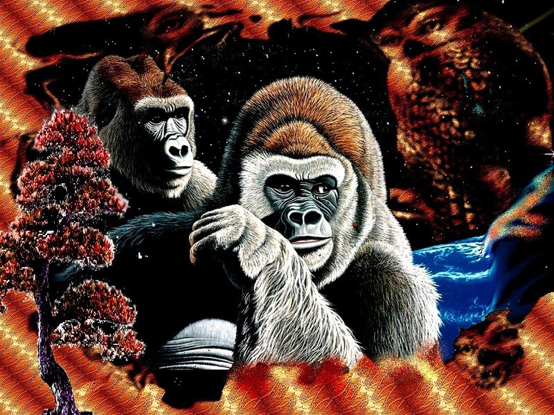 Two Gorillas in Space