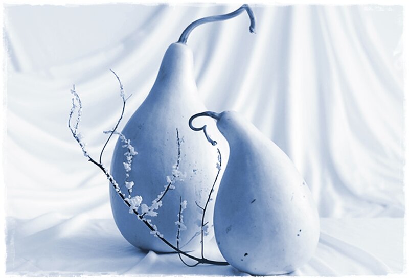 Two Gourds with Branches