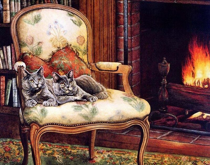 Two Gray Cats on Chair — Brown