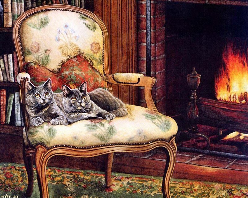 Two Gray Cats on Chair — Cozy, Night