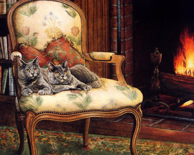 Two Gray Cats on Chair — Cozy