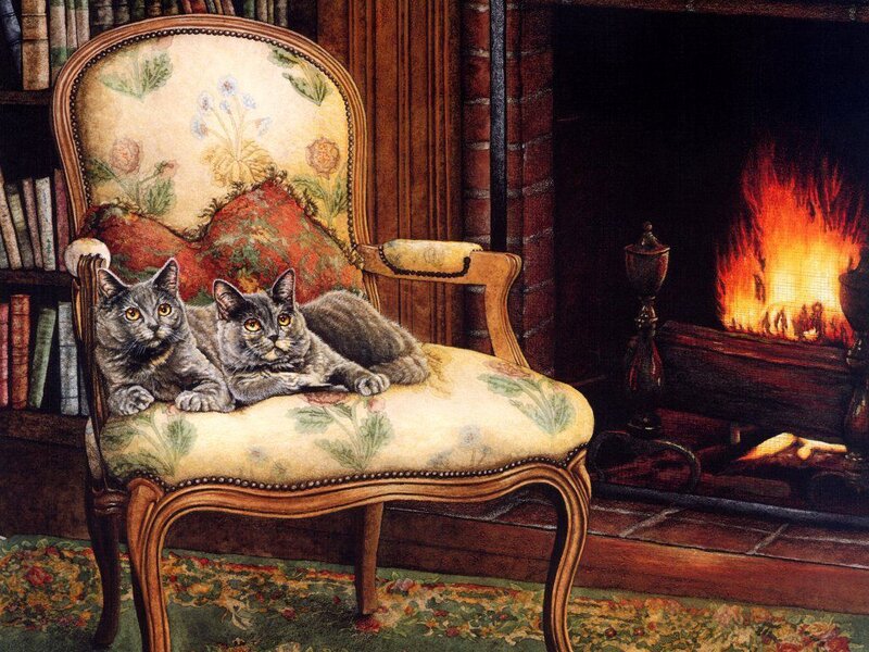 Two Gray Cats on Chair