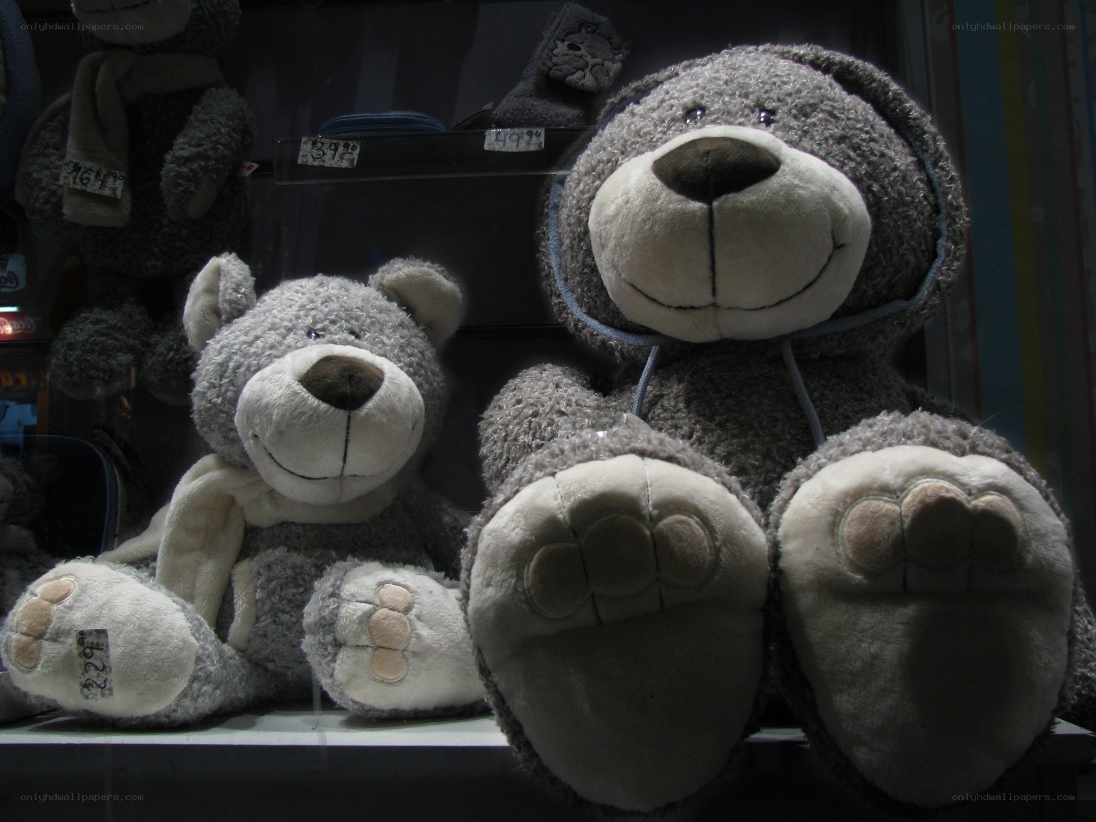 Two gray teddy bears in display