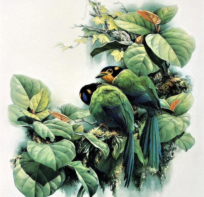Two Green Birds on Branch — Serene, Illustration