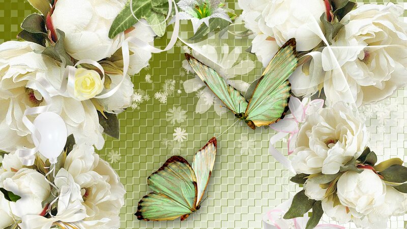 Two Green Butterflies — Serene