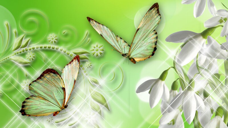 Two Green Butterflies